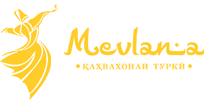 Mevlana logo